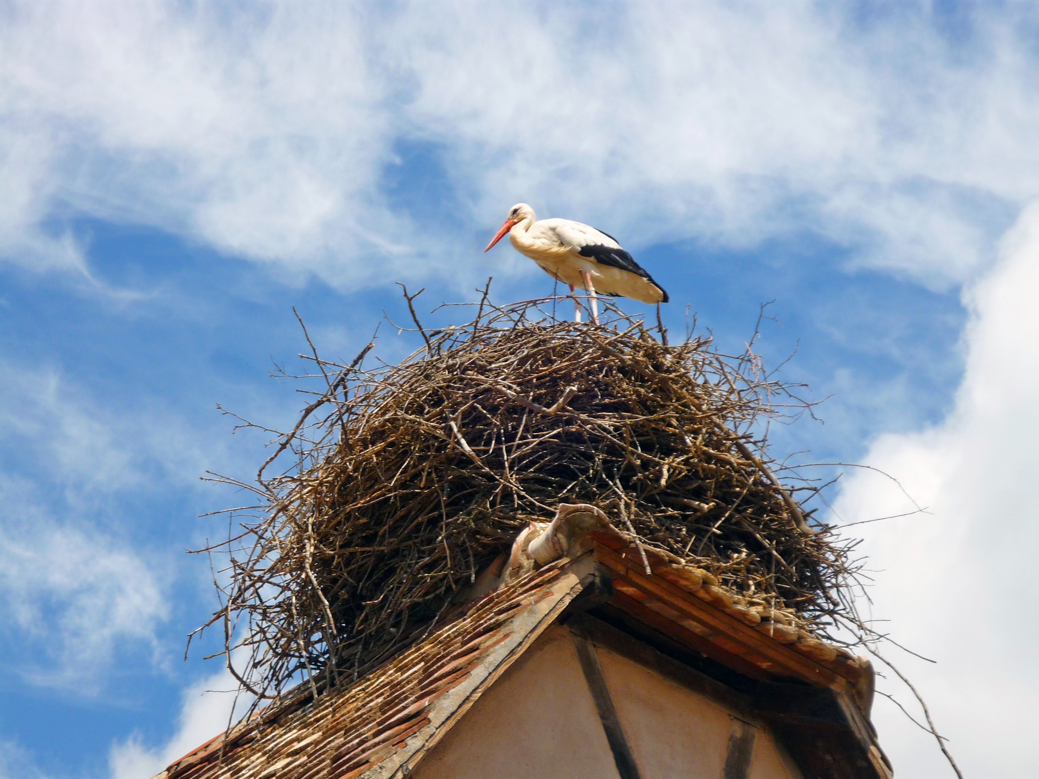 Ecomusee Alsace 1 © French Moments