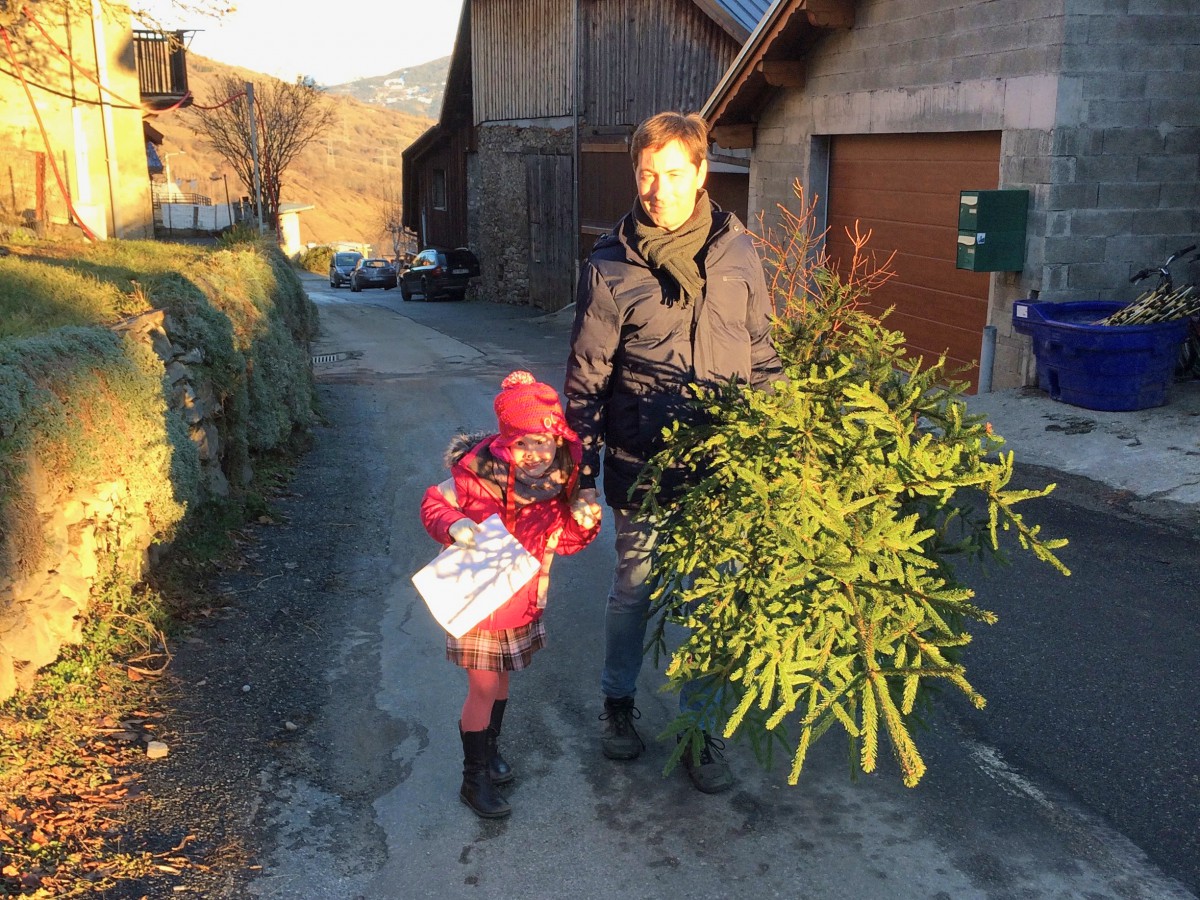 Christmas in France - Getting our Christmas tree in the Alps of Savoie © French Moments