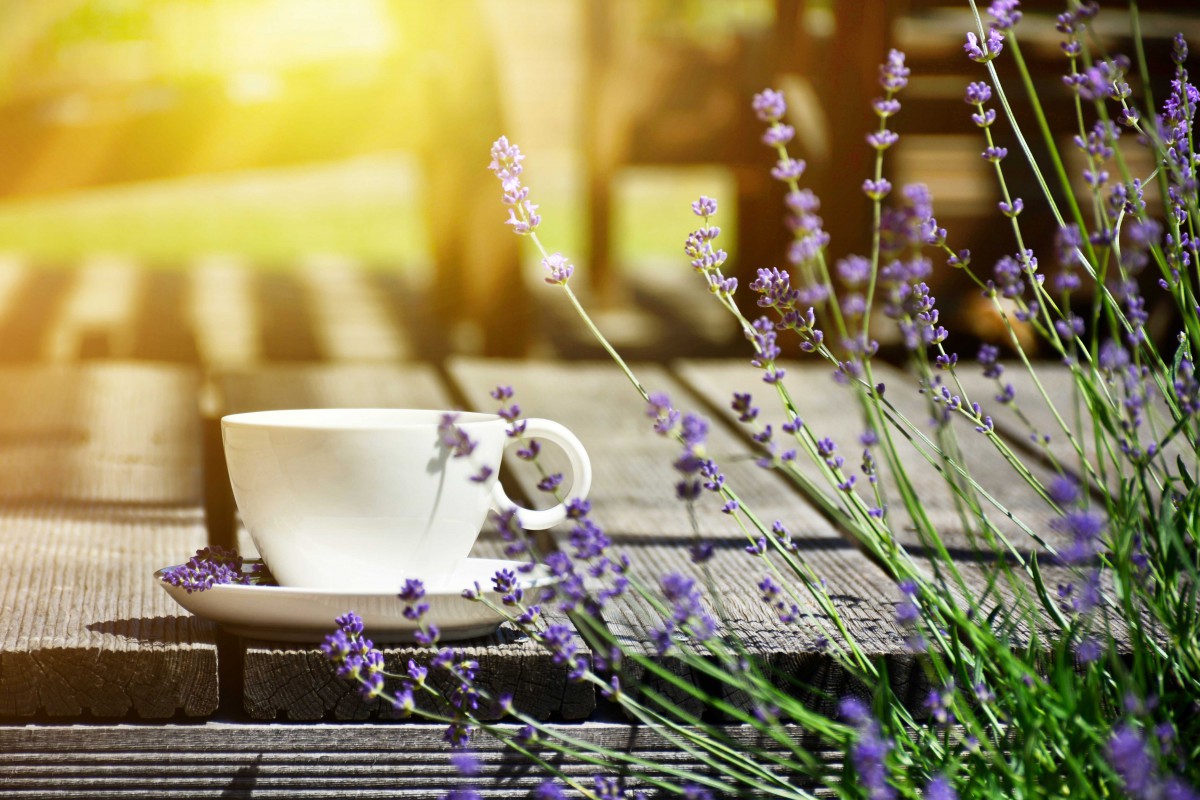 Café Provence LR - Stock Photos from CharMoment - Shutterstock Tea in Provence - Stock Photos from CharMoment - Shutterstock